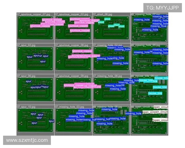 南京极限运动队耐力表现数据分析与训练策略探讨